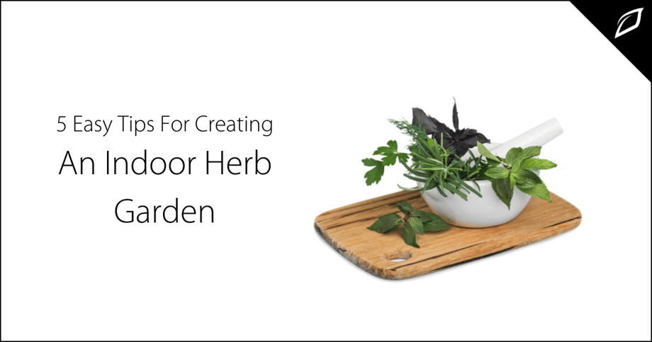 5 Easy Tips For Creating An Indoor Herb Garden-2