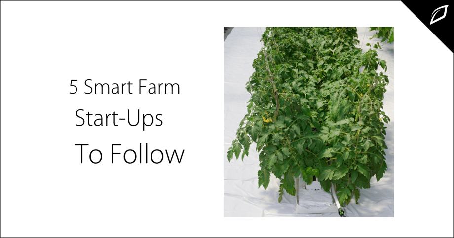 5 Smart Farm Start Ups To Follow