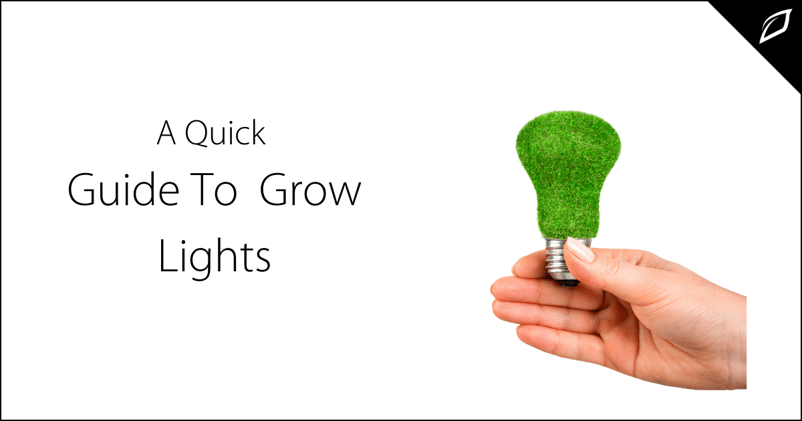 A Quick Guide To Grow Lights