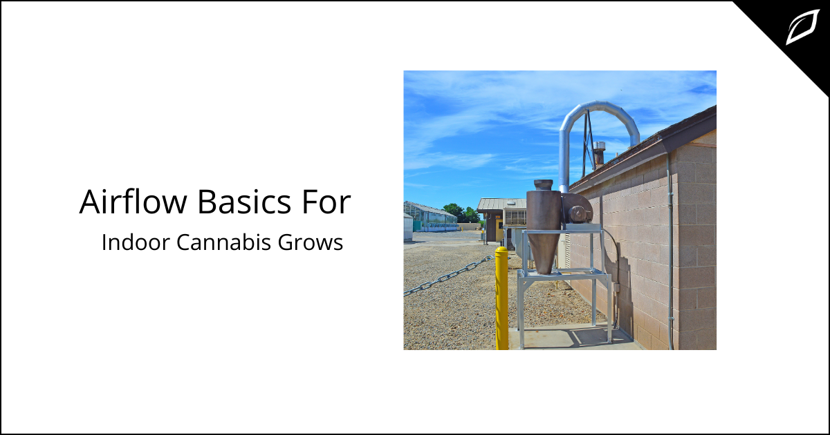 Airflow Basics For Indoor Cannabis Grows