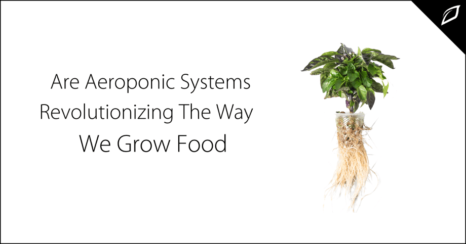 Are Aeroponic Systems Revolutionizing The Way We Grow Food