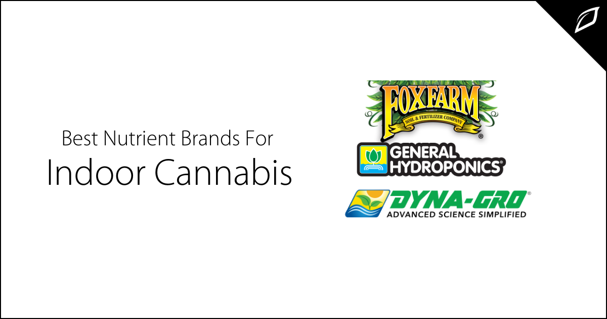 Best Nutrients Brands For Indoor Cannabis 