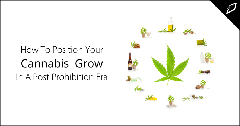 How To Position Your Cannabis Grow In a Post Prohibition Era