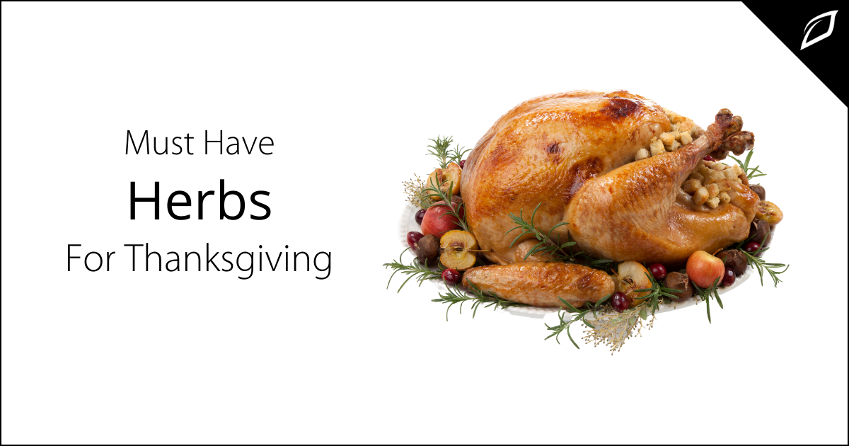 Must Have Herbs For Thanksgiving