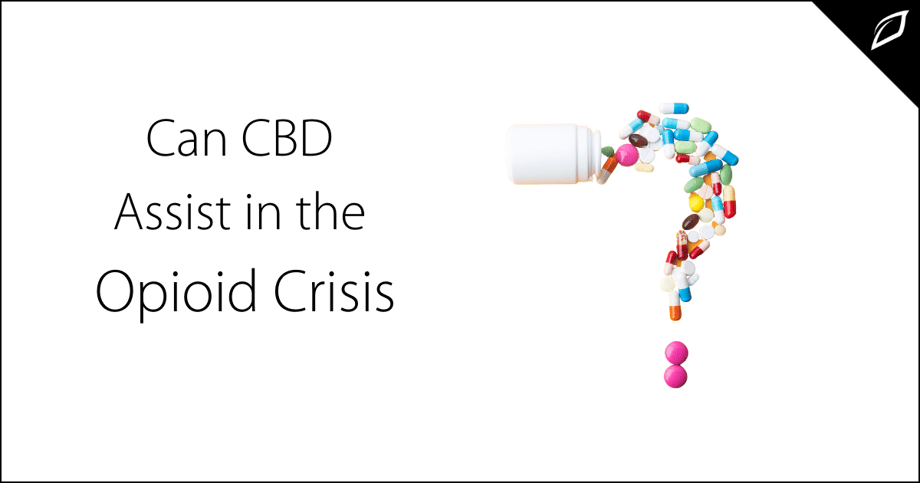 Can CBD Assist in the Opioid Crisis