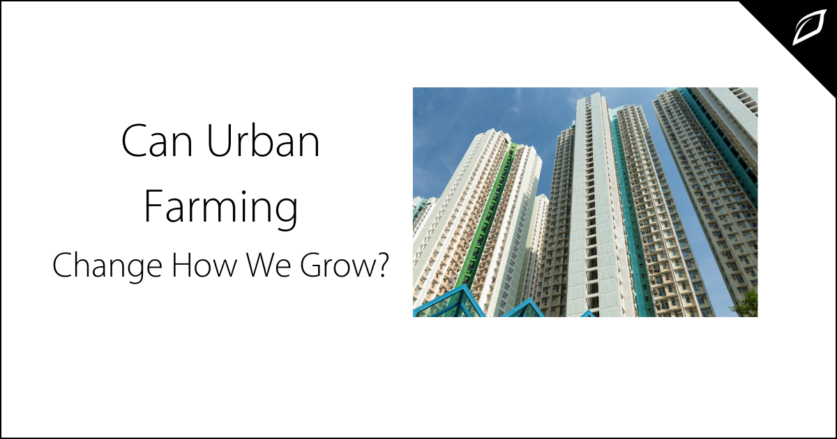Can Urban Farming Change How We Grow?