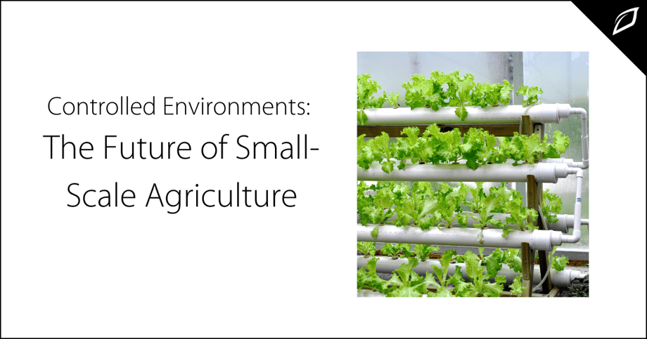 Controlled Environments_ The Future of Small-Scale Agriculture