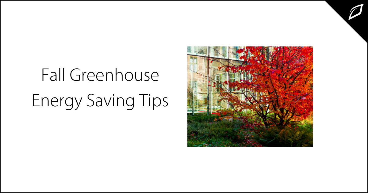 Fall Greenhouse Energy Saving Tips