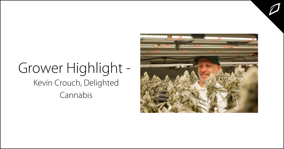 Grower Highlight - Kevin Crouch Delighted Cannabis