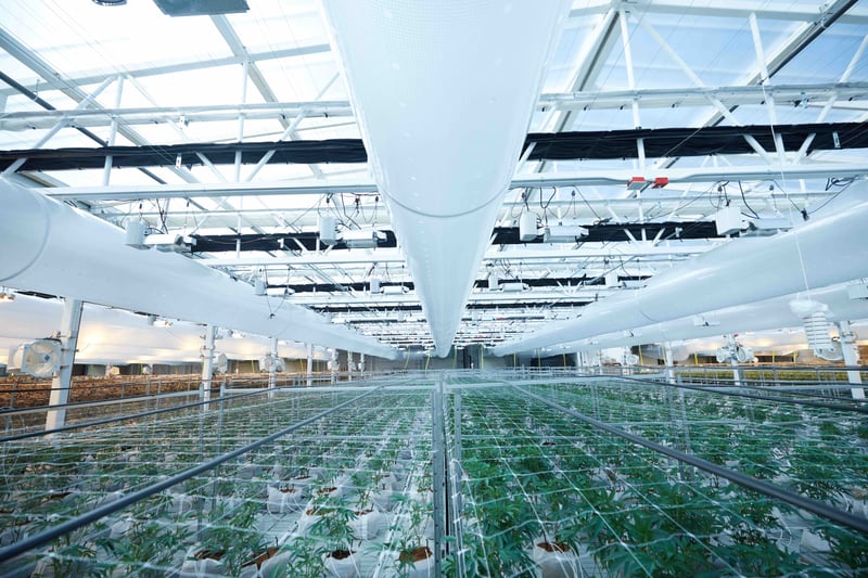 Growlink Facility