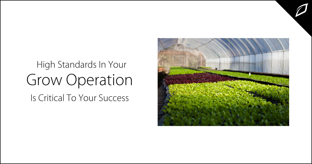 High Standards In Your Grow Operation Is Critical To Your Success