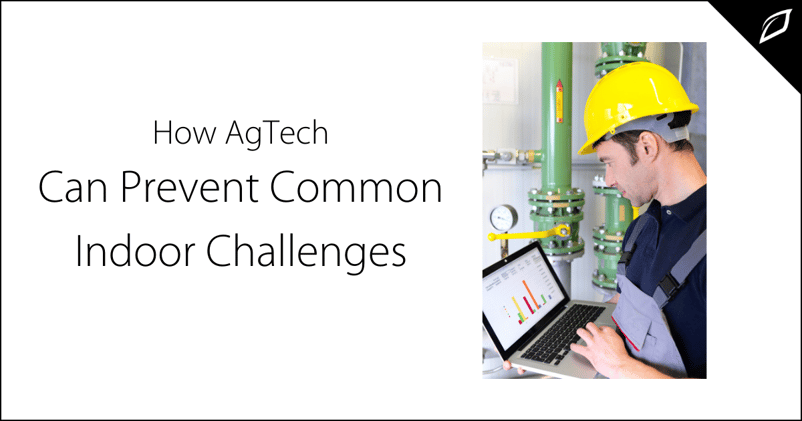 How AgTech Can Prevent Common Indoor Challenges 