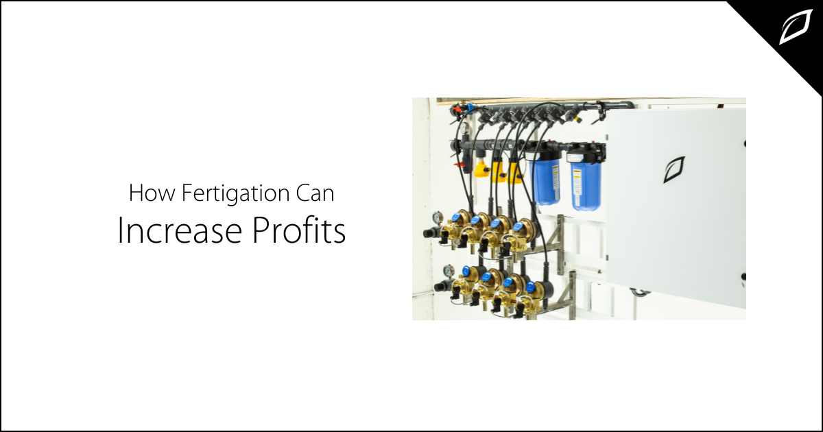 How Fertigation Can Increase Profits (1)