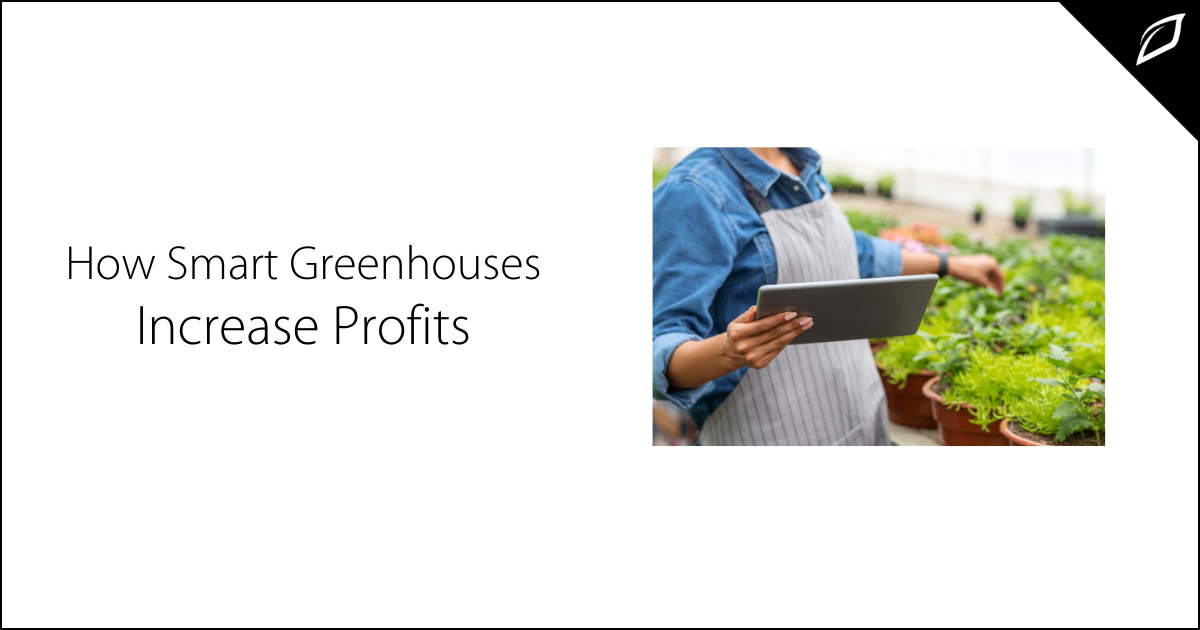 How Smart Greenhouses Increase Profits (1)