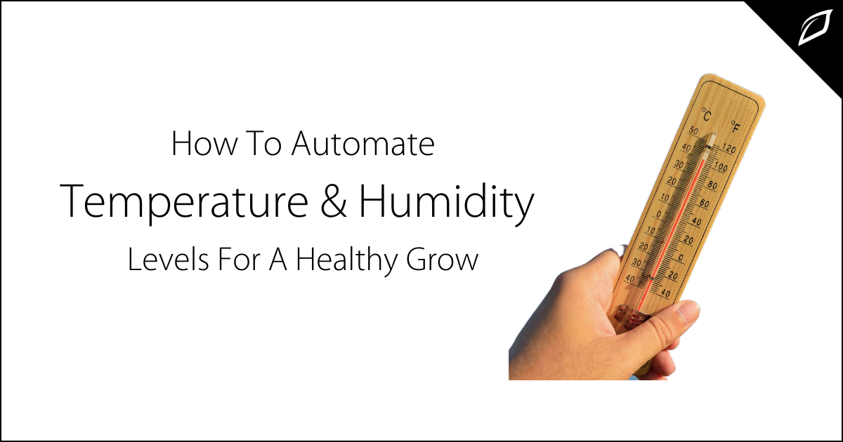 How To Automate Temperature and Humidity Levels for a Healthy Grow