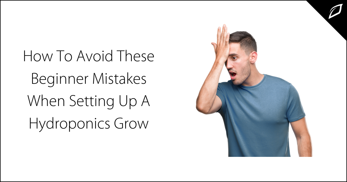 How To Avoid These Beginner Mistakes When Setting Up A Hydroponics Grow