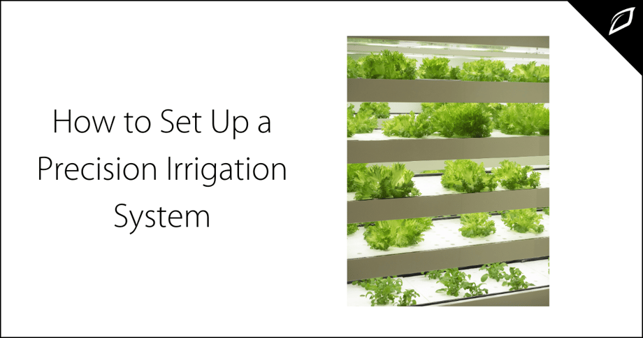 How to Set Up a Precision Irrigation System