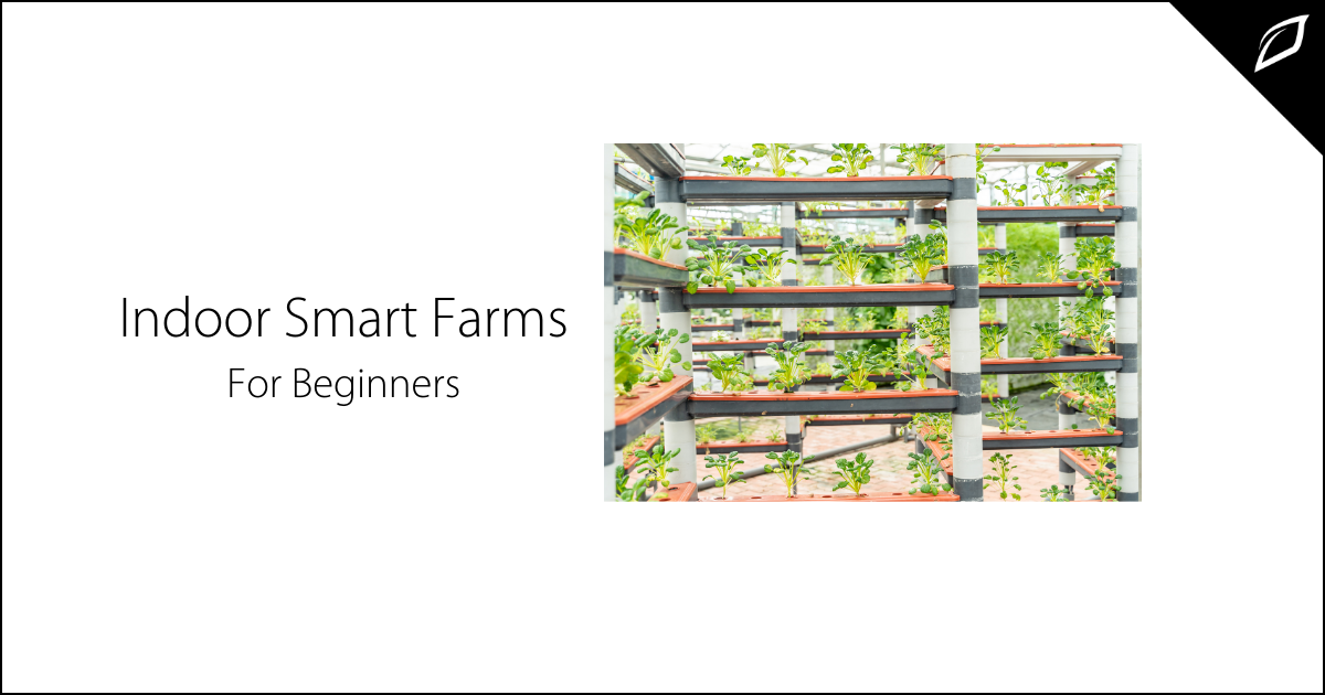 Indoor Smart Farms For Beginners
