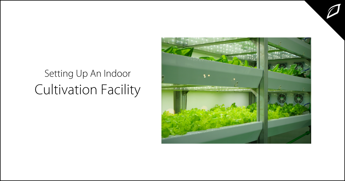 Setting Up An INdoor Cultivation Facility-1