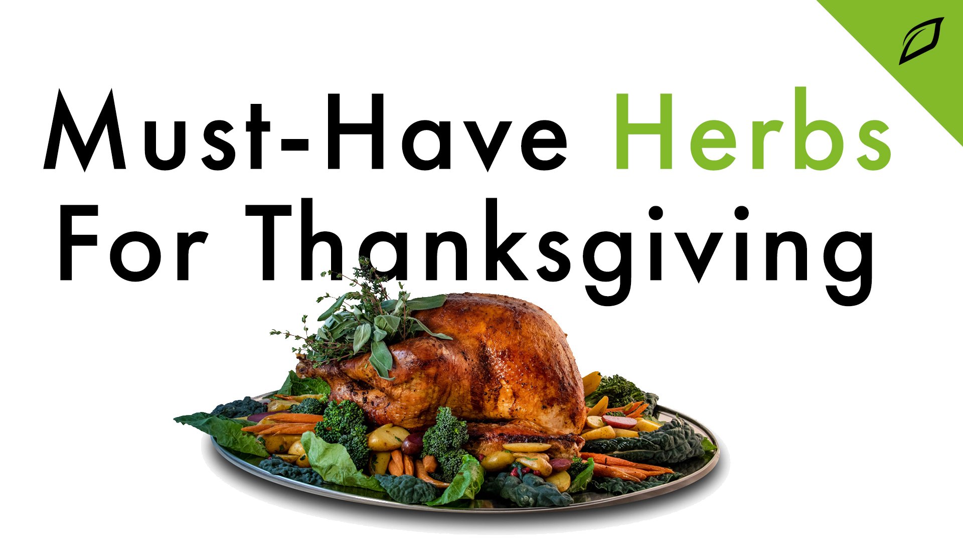 MustHave Herbs For Thanksgiving