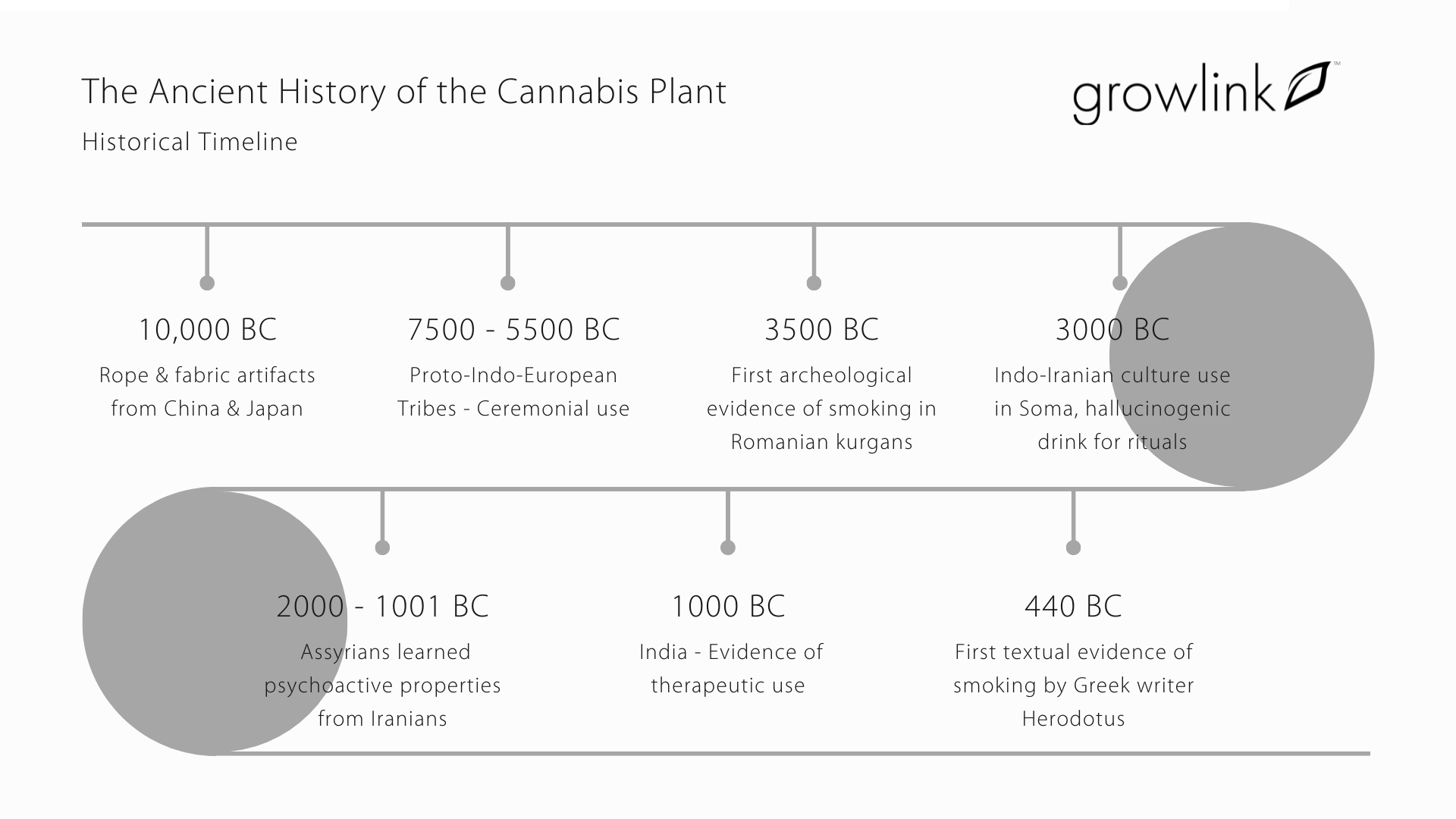 The Ancient History of the Cannabis Plant (3)