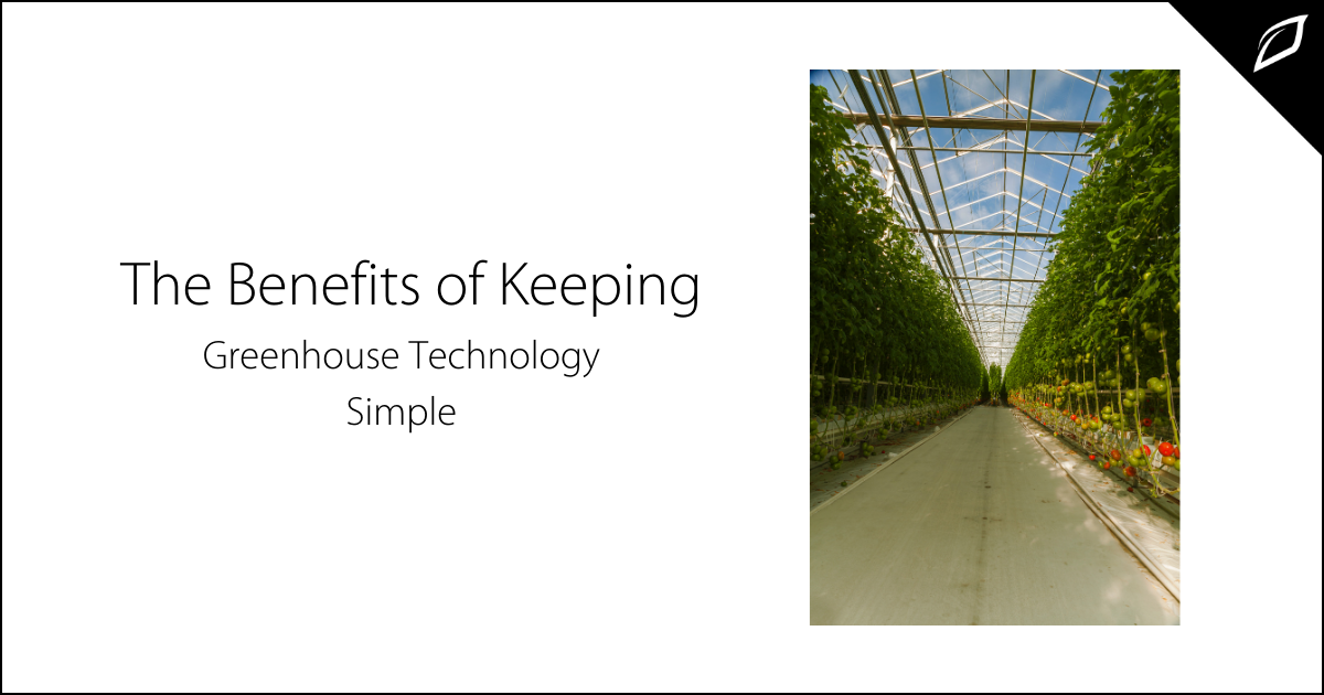 The Benefits of Keeping Greenhouse Technology Simple