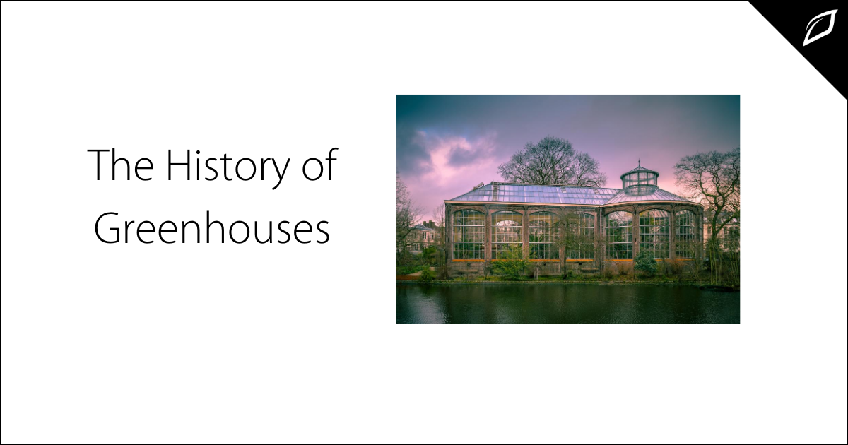 The History of Greenhouses