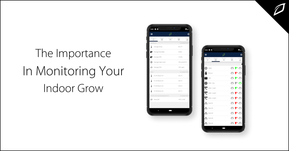 The Importance of Monitoring Your INdoor Grow