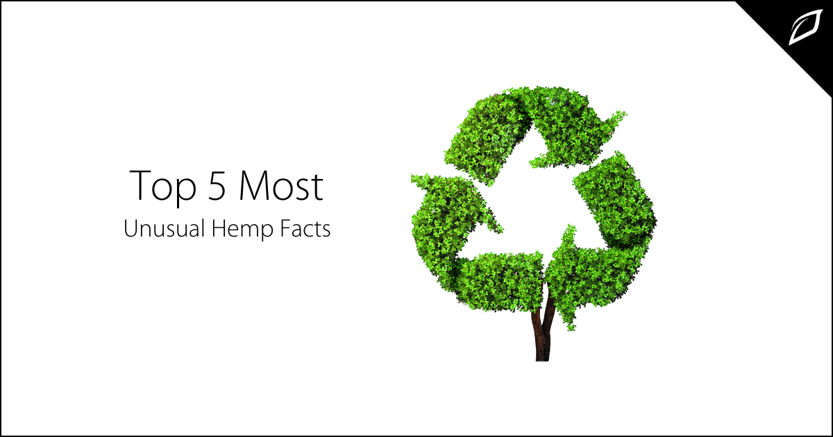 Top 5 Most Unusual Hemp Facts