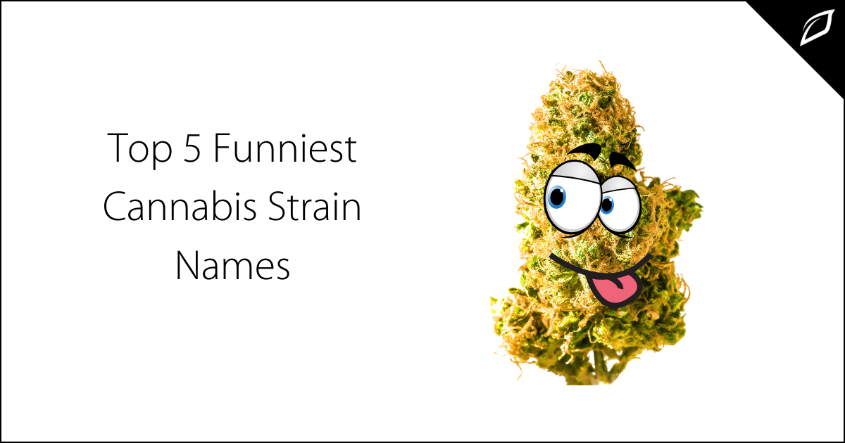 Top Five Funniest Cannabis Strain Names