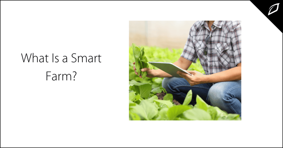 What Is a Smart Farm?
