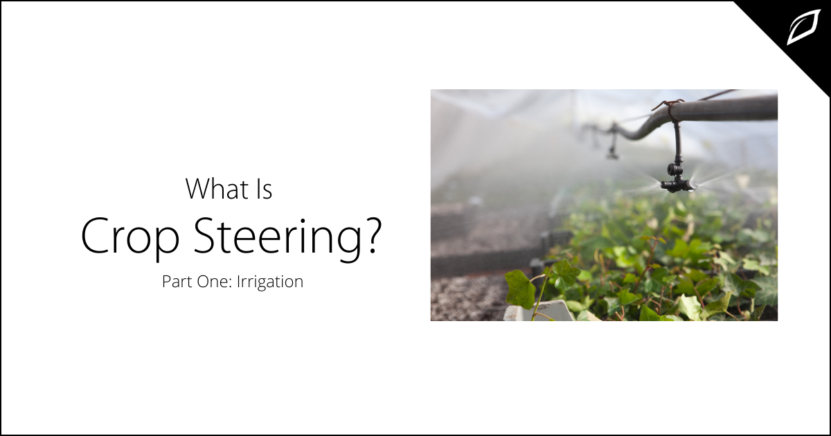 What is Crop Steering_ Part One