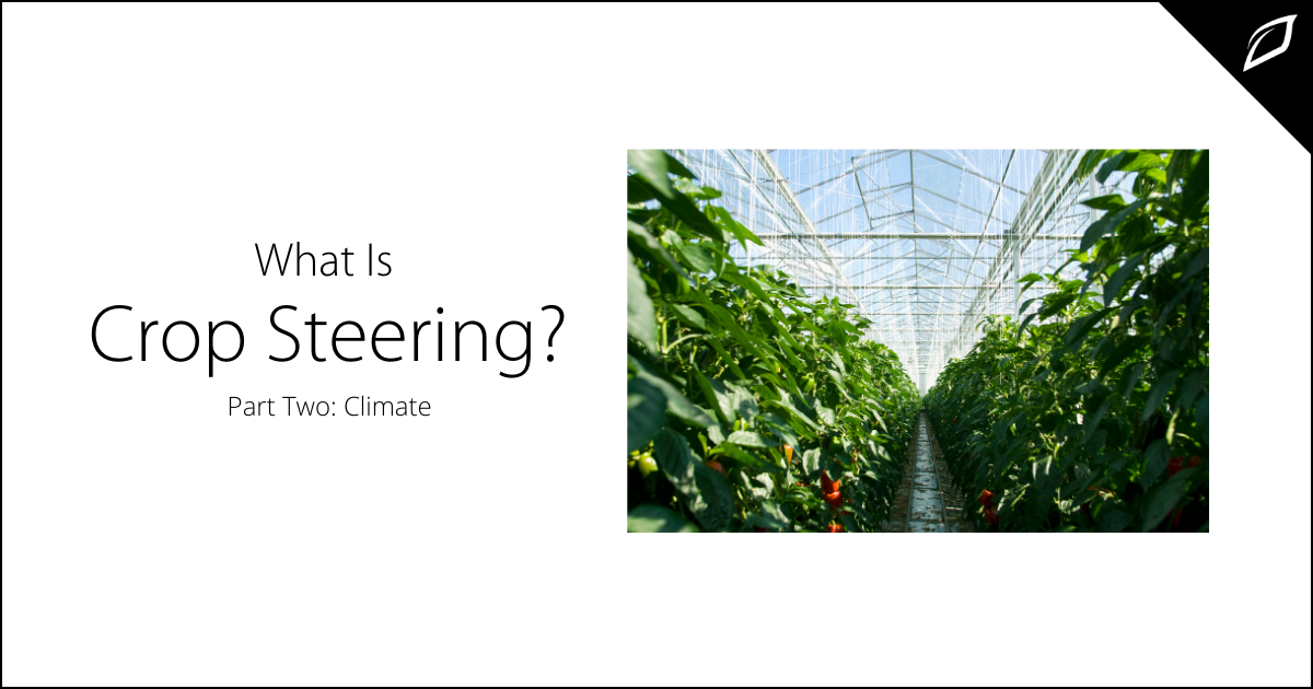 What is Crop Steering_ Part Two Climate