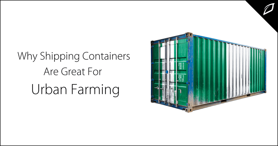 Why Shipping Containers Are Great For Urban Farming