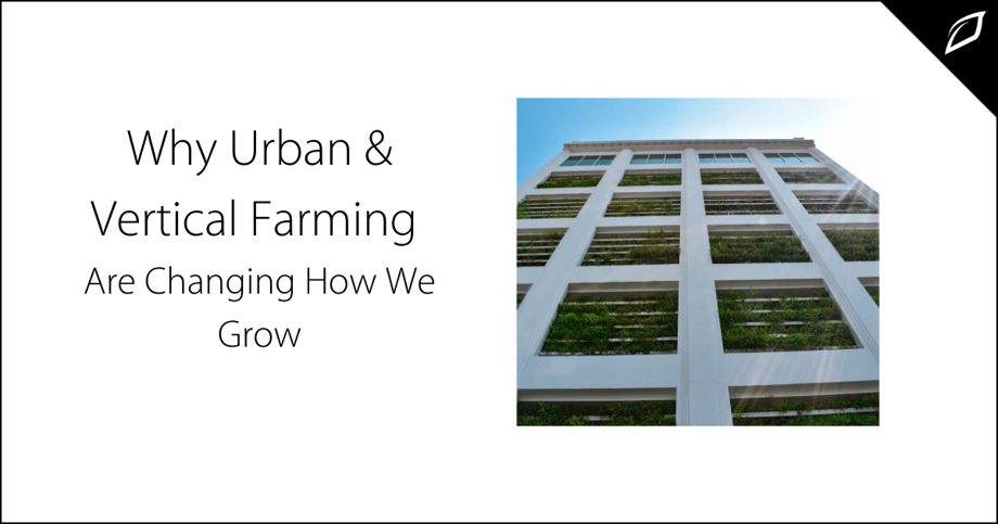 Why Urban & Vertical Farming Are changing How We Grow