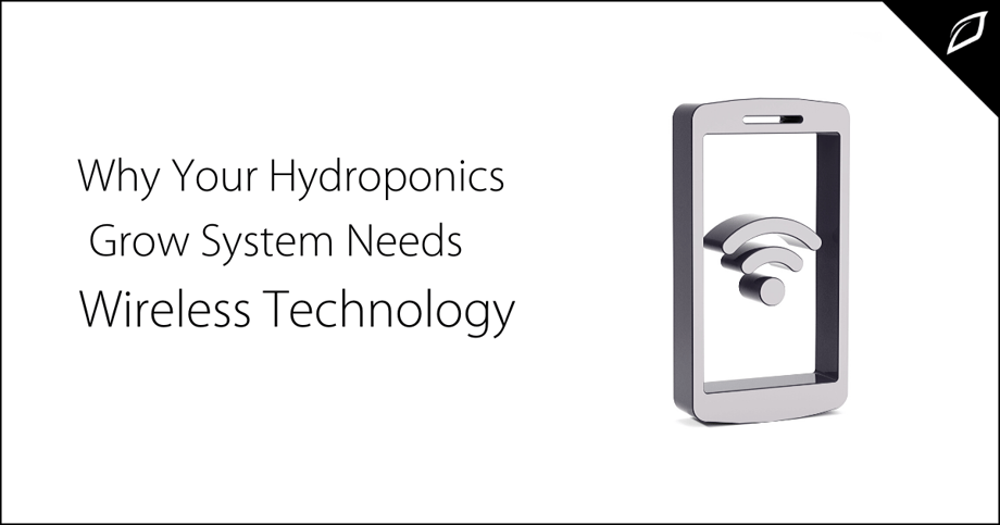 Why Your Hydroponics Grow System Needs Wireless Technology