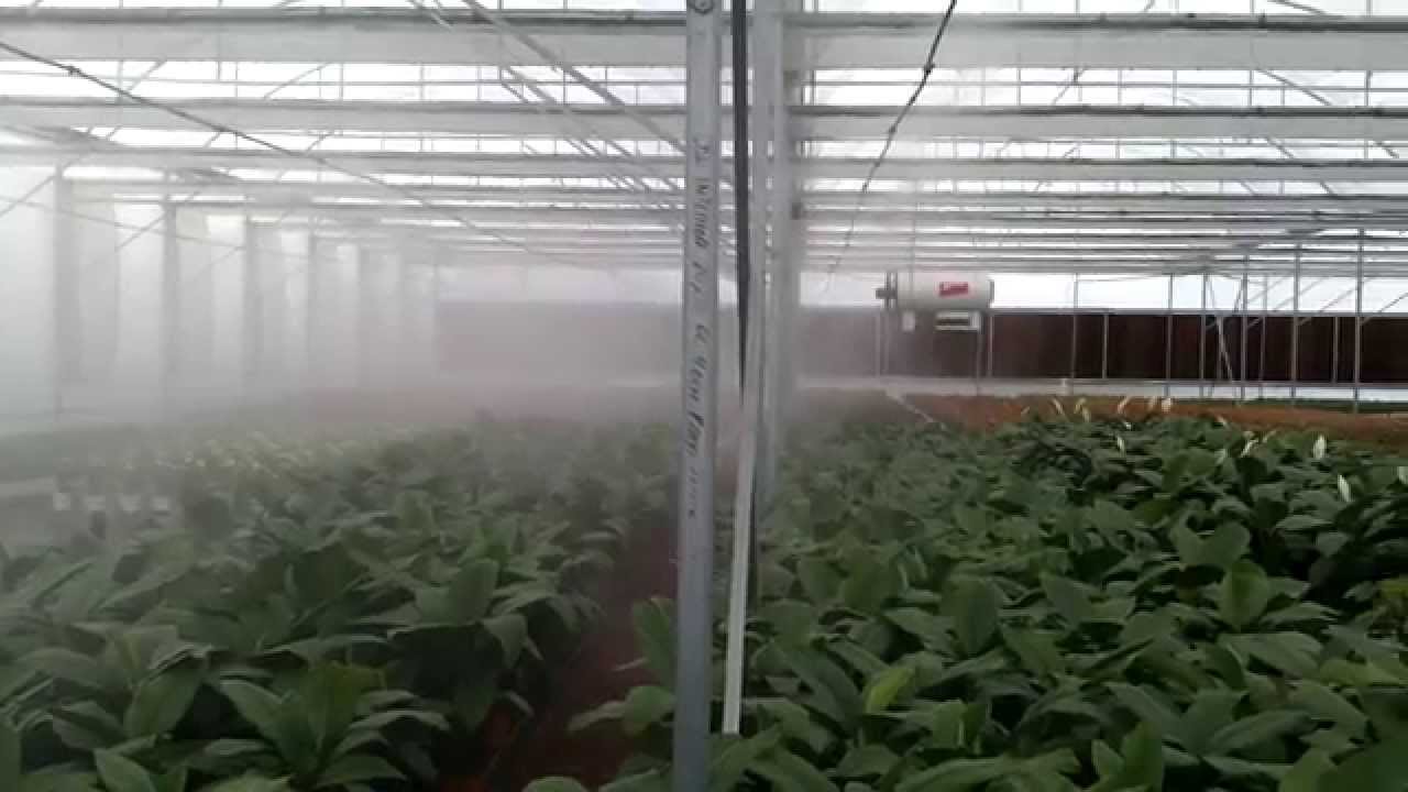 Controlling Temperature & Humidity in a Greenhouse
