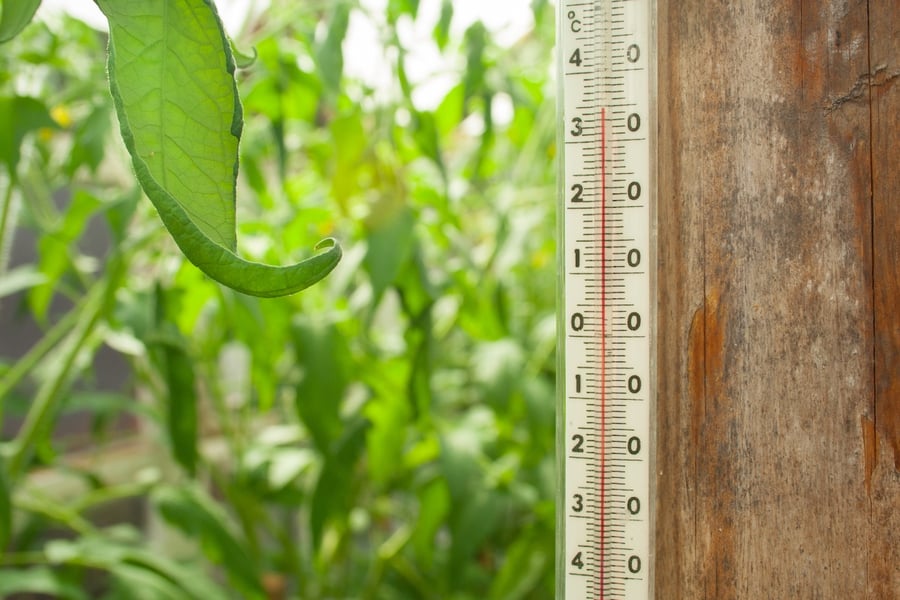 How To Automate Temperature and Humidity Levels for a Healthy Grow