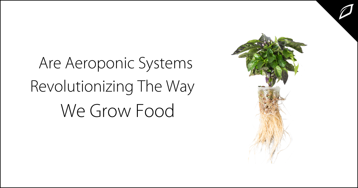 Aeroponics Systems | Growlink