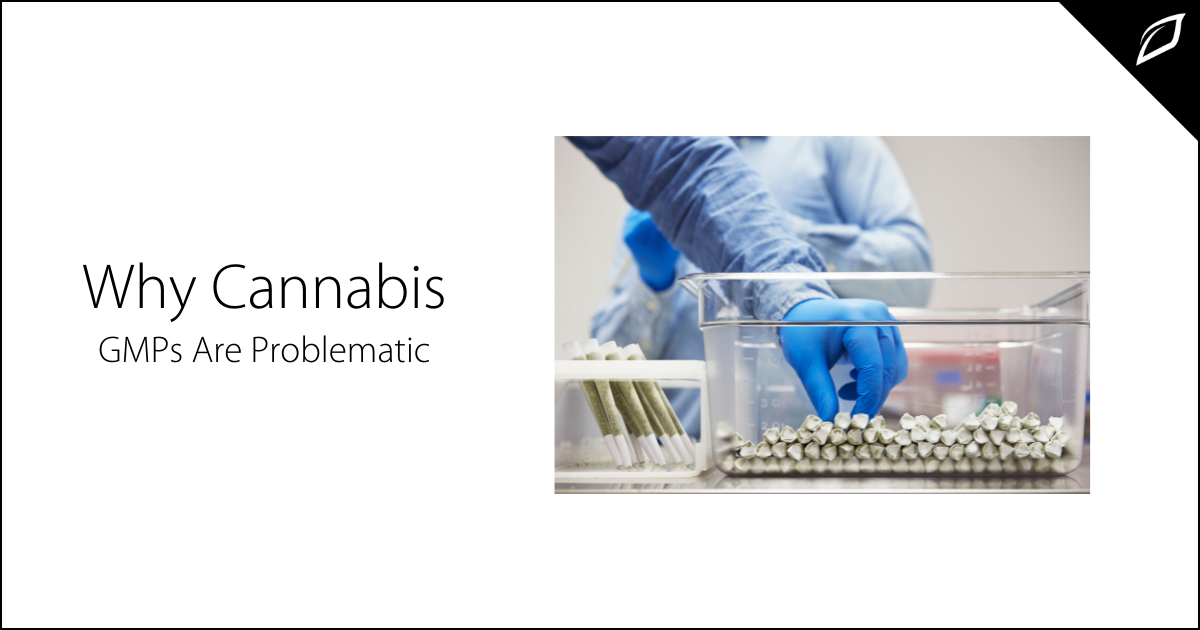 Why Cannabis Good Manufacturing Practices Are Problematic