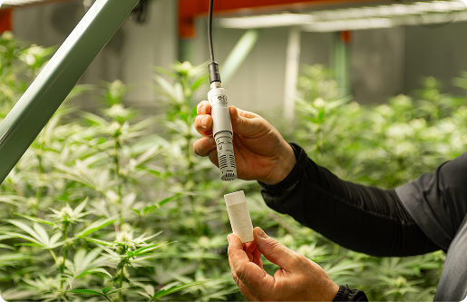 End of Rip-and-Replace: Designing a Grow That Scales With You