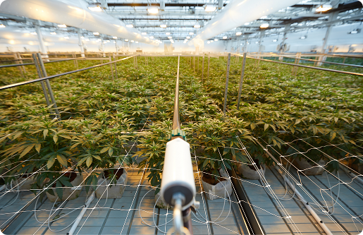 Your Platform Sees Everything. Does It Do Anything?