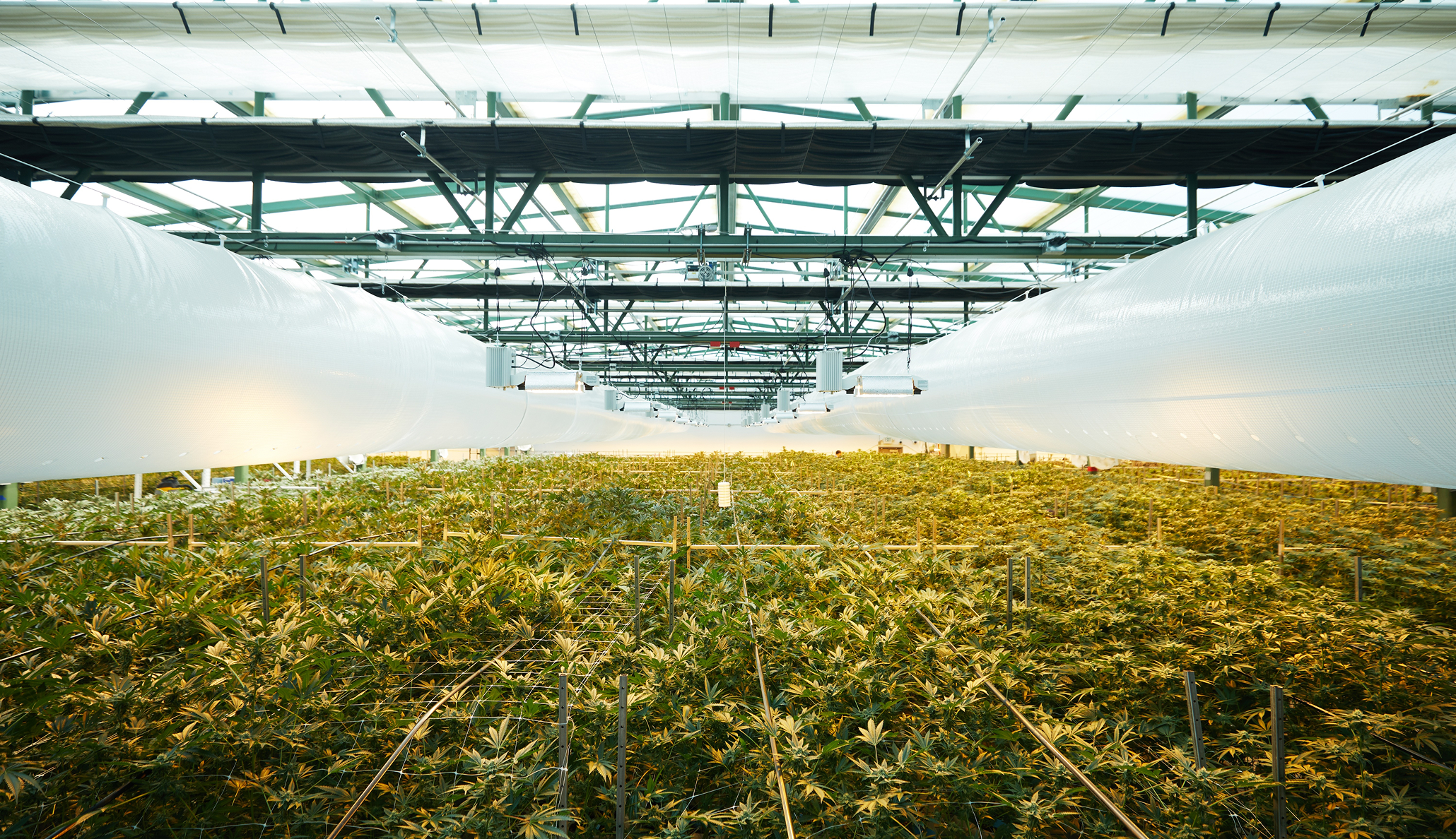 Why SOPs Break at Scale (And How the Right Tech Can Help)