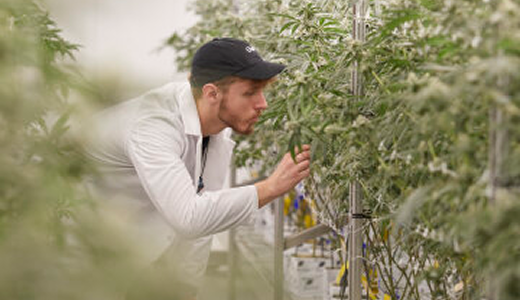 The $1 Million Mistake Hiding in Plain Sight