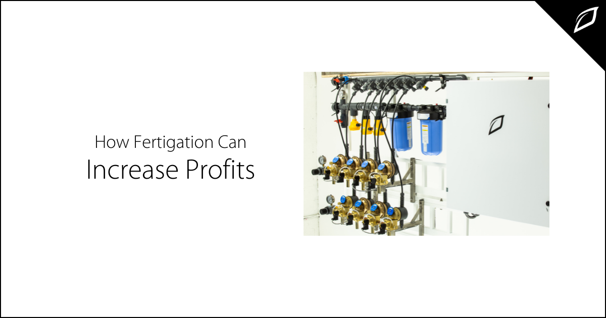 How Fertigation Can Increase Profits