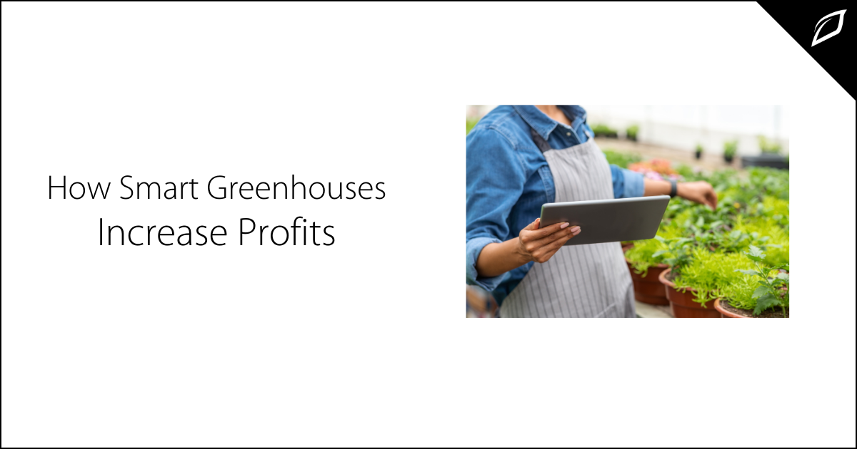 How Smart Greenhouses Increase Profits