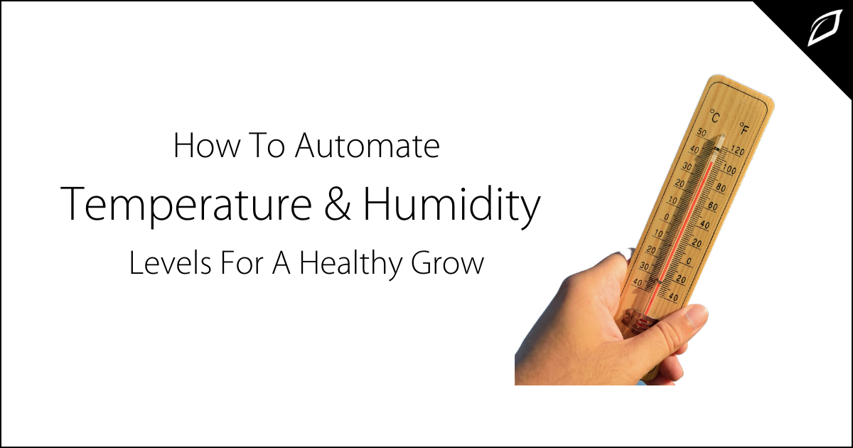 humidity levels | Growlink 