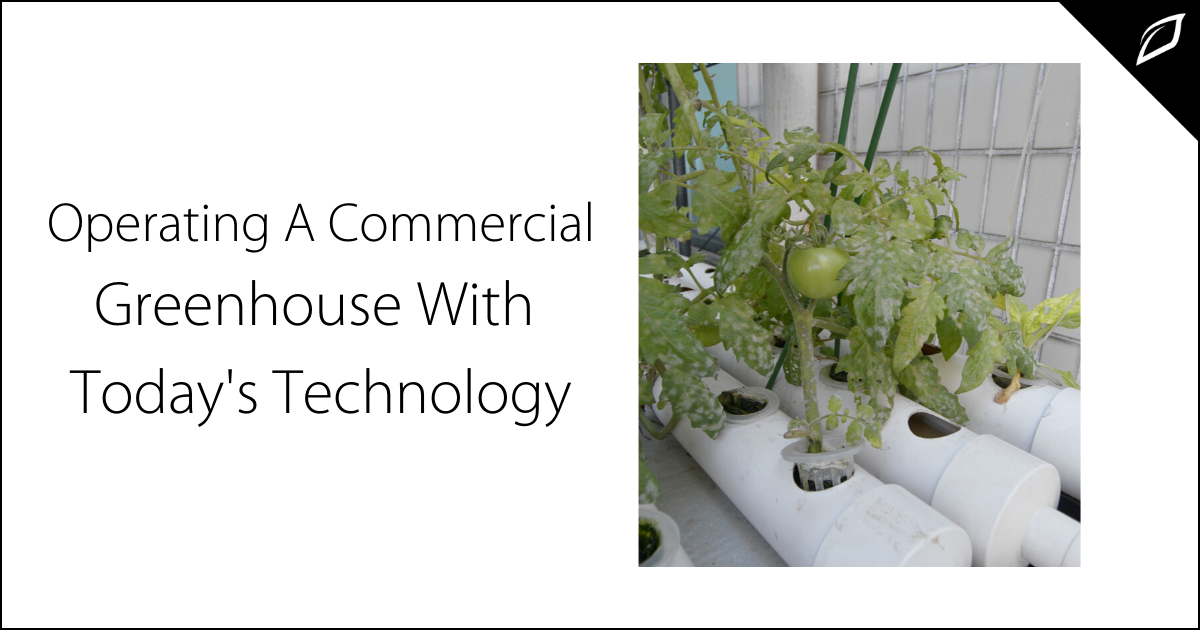 Commercial Greenhouse Technology 