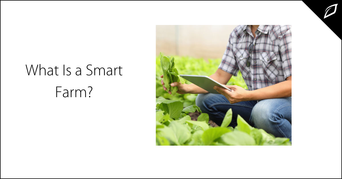 B3-what is-a-smart-farm.jpg