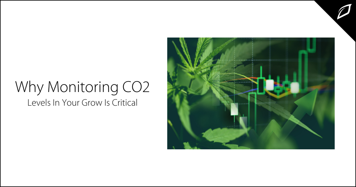 Why Monitoring CO2 Levels In Your Grow Is Critical